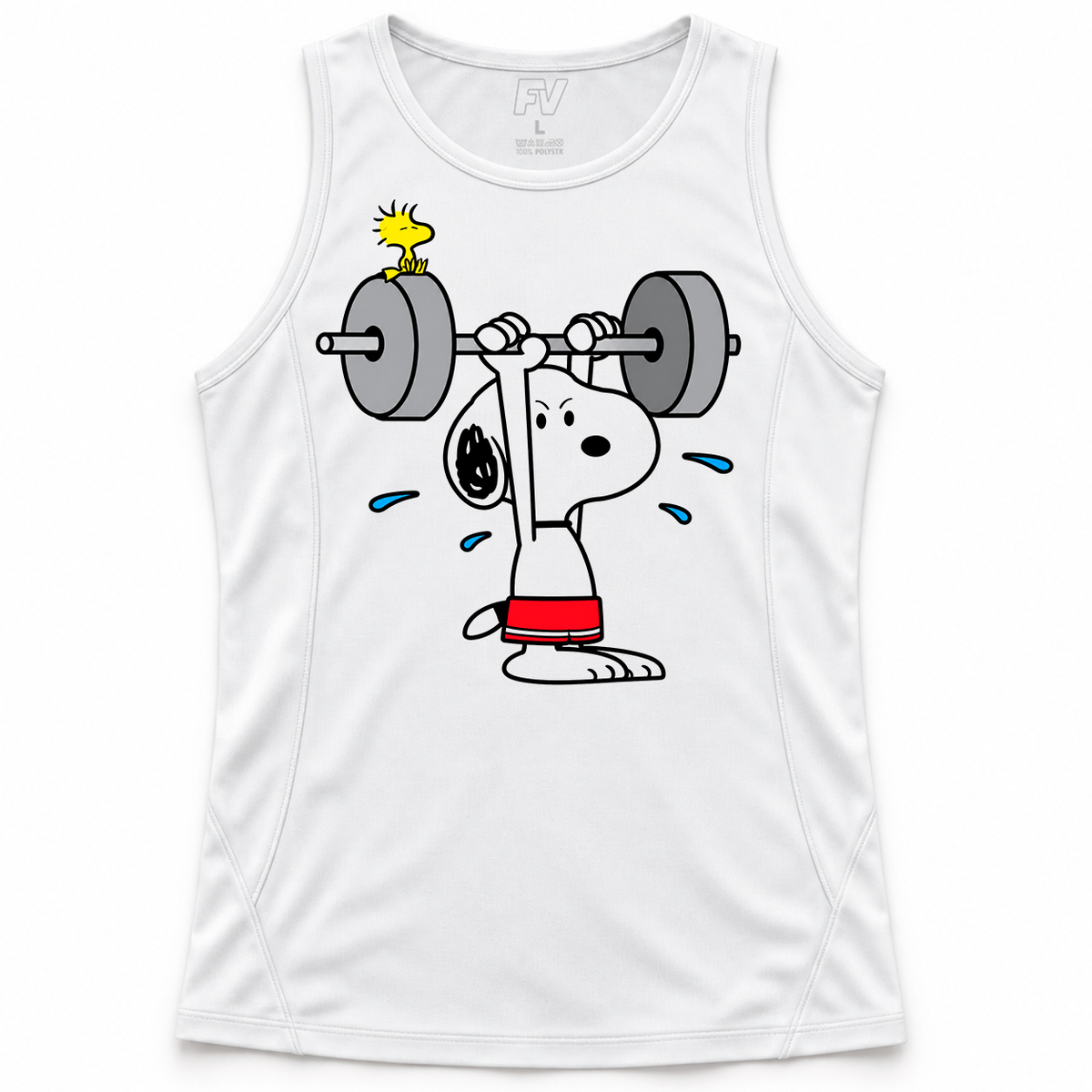 Snoopy Gym